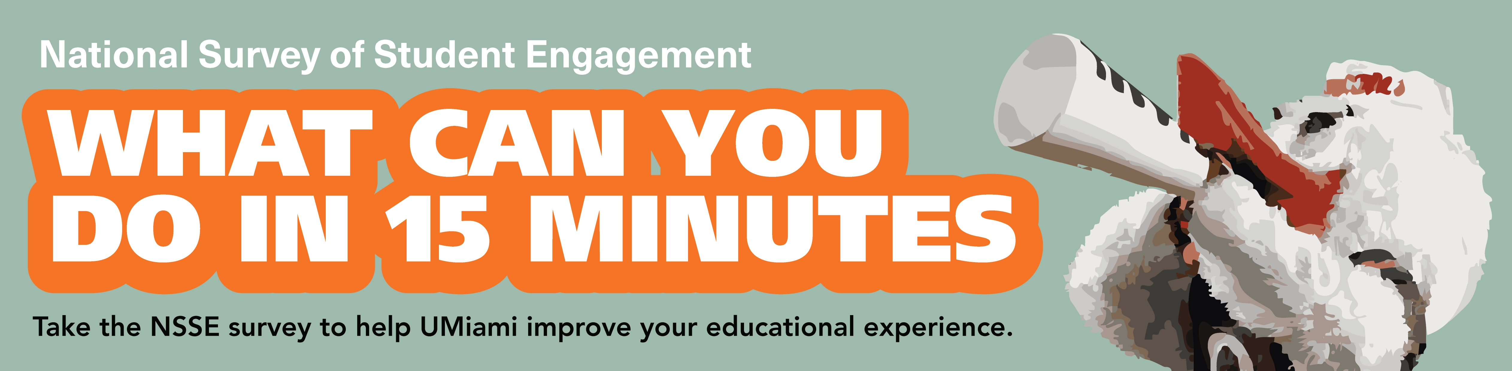 NSSE Banner